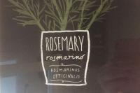 Foto EG-Wohnung-Nr.-3