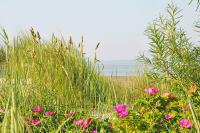 Foto Charmantes-Teilhaus-links-unter-Reet-