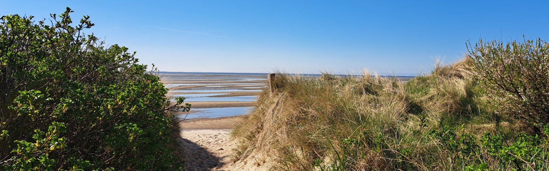 Wattenperle-Bredland-unter-Reet